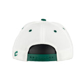 Chicago Hounds White/Dark Green Dawg Town Snapback Hat