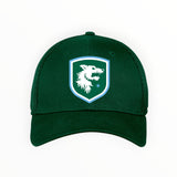 Chicago Hounds Shield Logo New Era Stretch Fit Mesh Cap - NE1020 Dark Green