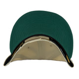 Chicago Hounds Chrome/Green Shield Logo New Era 9FIFTY Snapback Hat